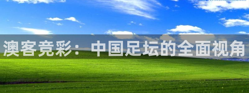 非凡娱乐app官网下载：澳客竞彩：中国足坛的全面视角