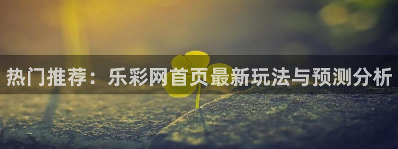 壹号app官网：热门推荐：乐彩网首页最新玩法与预测分析