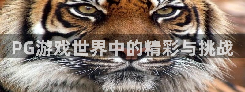 壹号大舞台下载：PG游戏世界中的精彩与挑战