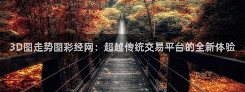 壹号大舞台怎么注册：3D图走势图彩经网：超越传统交易平台的全新体验